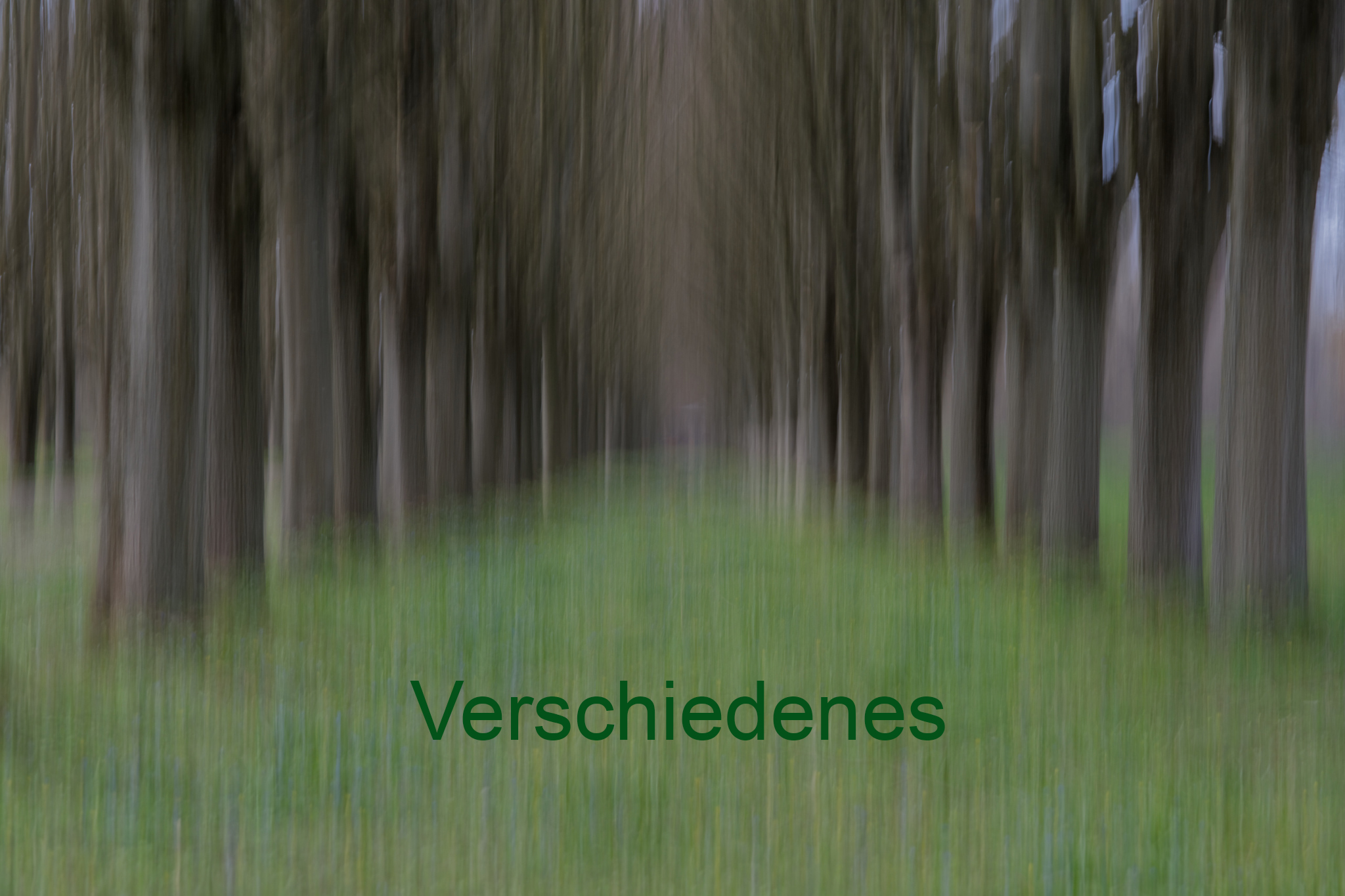 Verschiedenes